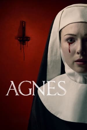 Agnes (2021) Hindi Dual Audio – 480p