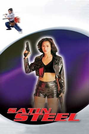 Satin Steel (1994) Hindi Dual Audio 260MB