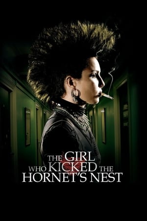 The Girl Who Kicked the Hornet's Nest (2009) Hindi Dual Audio 450MB