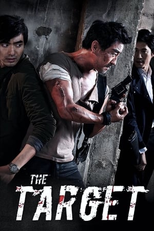 The Target (2014) Hindi Dual Audio 300MB